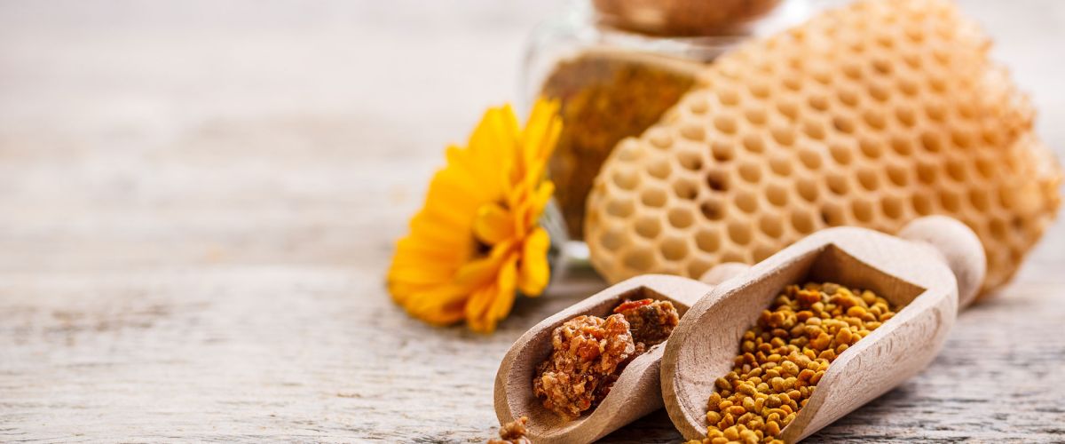 Propolis &ndash; Die Apotheke der Bienen