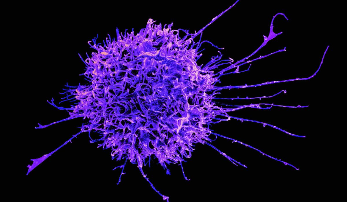 Mythen &uuml;ber unser Immunsystem im Faktencheck
