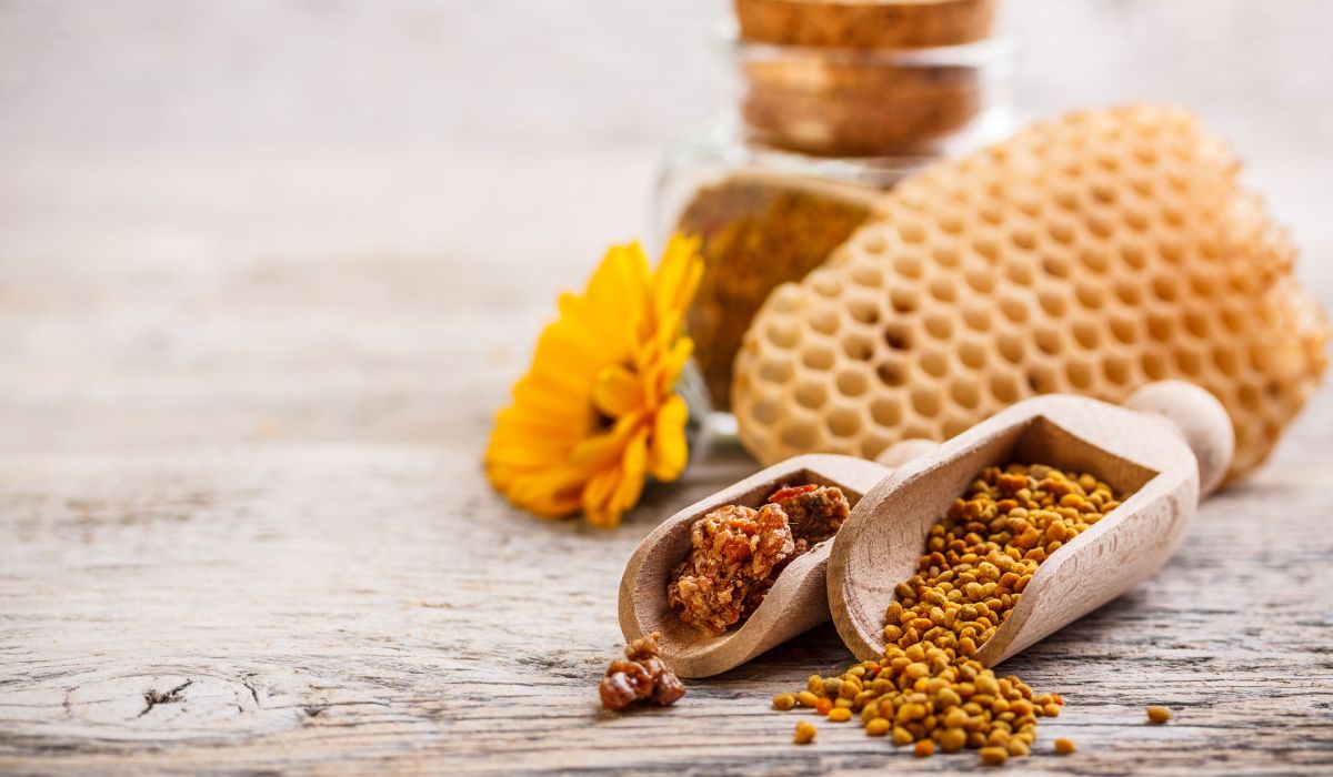 Propolis &ndash; Die Apotheke der Bienen
