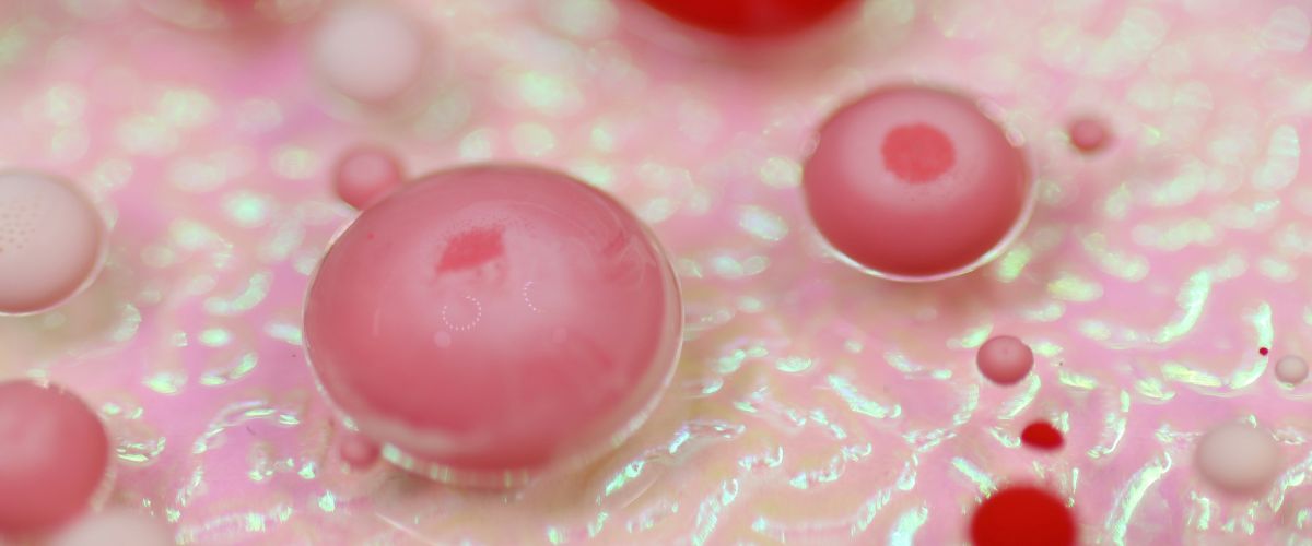 NATTOKINASE - Ein nat&uuml;rliches Enzym f&uuml;r gesundes Blut